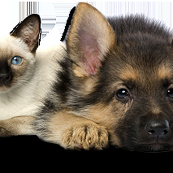 A Pooch Parlor - Pet Groomers Near Me - Lancaster, Pennsylvania