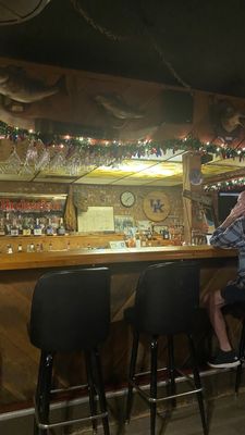 Cattle Ranch by null