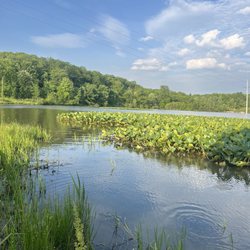 Sunny Lake Park