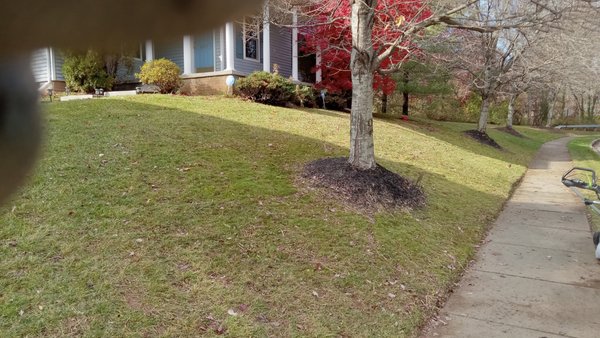 B More Home Improvement And Landscaping