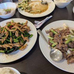Beef and garlic scapes on the left, and the lamb and green onions on the right