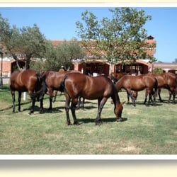 Ecole d'équitation