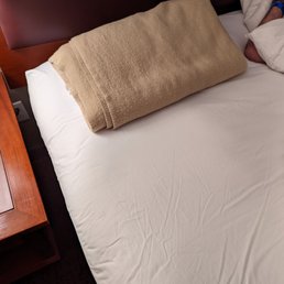 Blanket pillow  bring your own if you're allergic to feather. Management does. Not. Care.