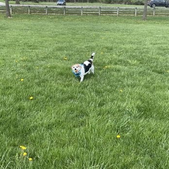 Three Creeks Dog Park - Dog Parks Near Me - Columbus, Ohio Three Creeks Dog Park - Dog Parks Near Me - Columbus, Ohio