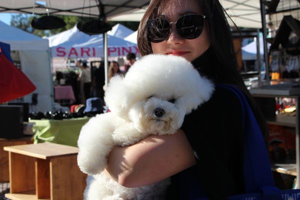 Melrose Trading Post by null