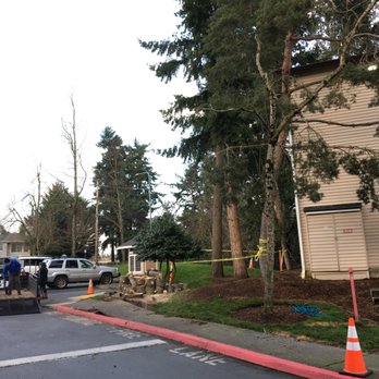 The Climber Tree Service - Tree Services Near Me