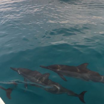 Catamaran Kahanu - Boating Near Me - Eleele Kauai, Hawaii
