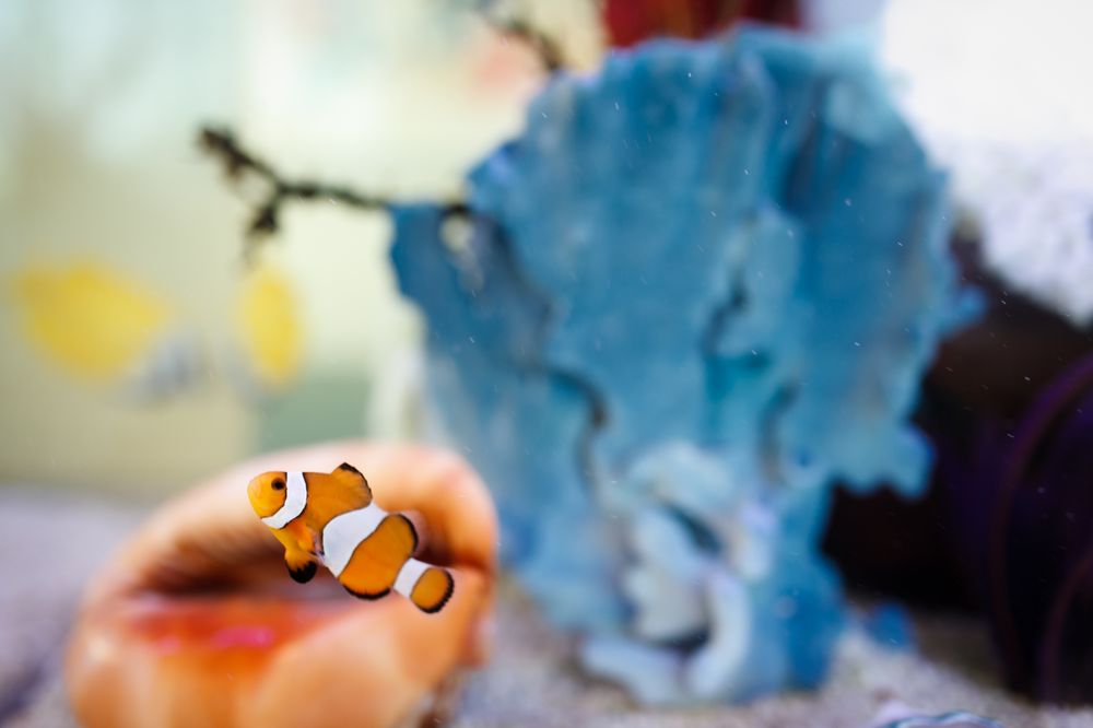 VIRGINIA MASON SAND POINT PEDIATRICS Updated August 2024 12 Reviews