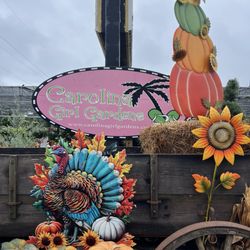 Carolina Girl Gardens