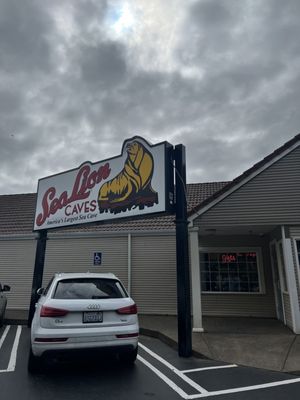 Sea Lion Caves by null