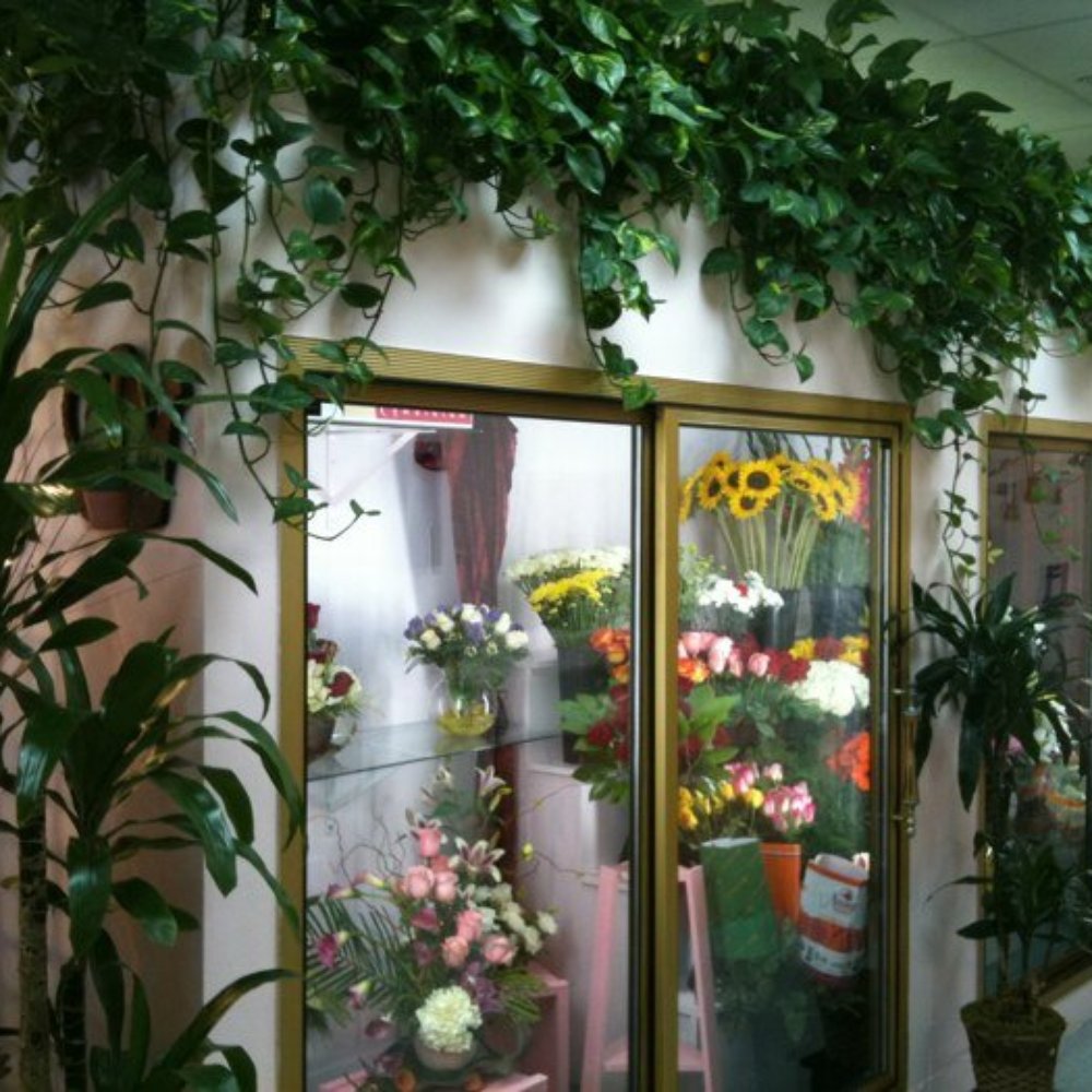 Golden Flowers - Flowers - Florists Near Me - Glendale, California
