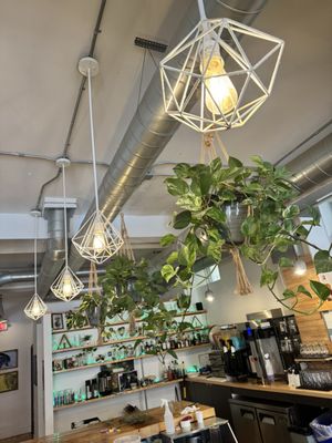 Vennture Brew Co by null