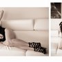Photo of Angelika's Photography