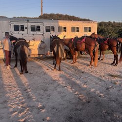 Amelia Island Horseback Riding
