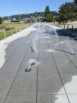 Lake Union Park by null