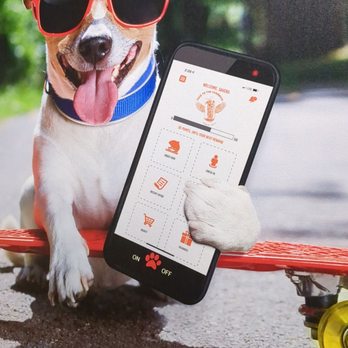 TOGO'S Sandwiches - Doggy on a skateboard, holding Togo app - Sandwiches Near Me - Gilbert, Arizona TOGO'S Sandwiches - Doggy on a skateboard, holding Togo app - Sandwiches Near Me - Gilbert, Arizona