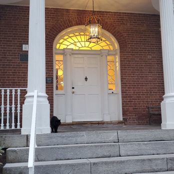 Hampton Inn Lexington-Historic District - Colonel the cat - Hotels Near Me - Lexington, Virginia