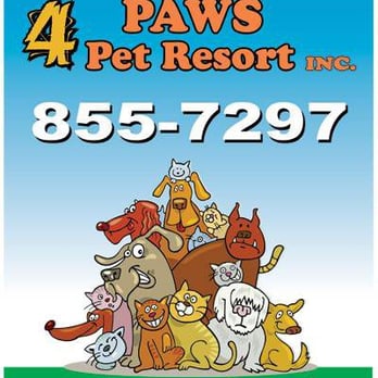4 Paws Pet Resort - Pet Sitting Near Me - Moncton, New Brunswick 4 Paws Pet Resort - Pet Sitting Near Me - Moncton, New Brunswick