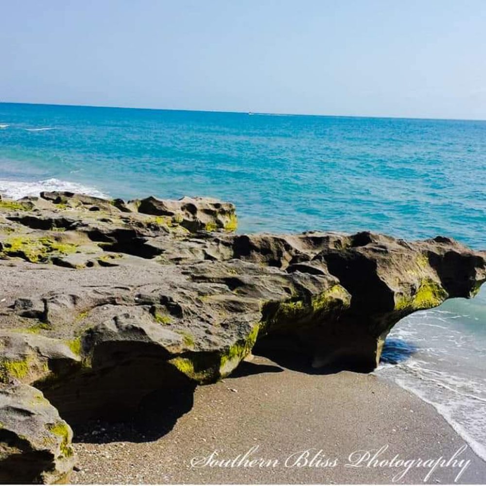 SOUTHERN BLISS PHOTOGRAPHY 54 Photos 901 Timmons Rd, Timmonsville