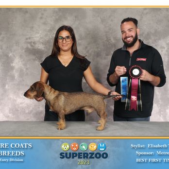 Wild Dog Grooming - 2023 SUPERZOO LAS VEGAS BEST 1ST TIME COMPETITOR IN CLASS - Pet Groomers Near Me - Fremont, California Wild Dog Grooming - 2023 SUPERZOO LAS VEGAS BEST 1ST TIME COMPETITOR IN CLASS - Pet Groomers Near Me - Fremont, California