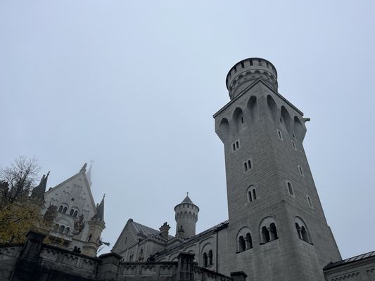 Neuschwanstein Castle by null