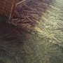 Photo of Max Extraction Carpet & Sofa Cleaning