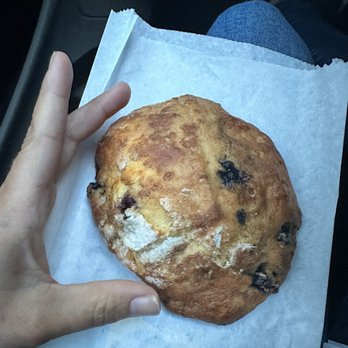 Top Pot Doughnuts - Blueberry scone, sparse with blueberries - Donuts Near Me - Seattle, Washington