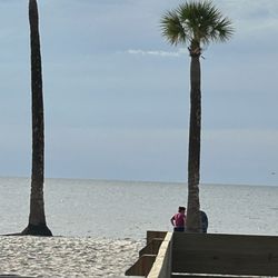 People enjoying the Gulf of Mexico at Pine Island