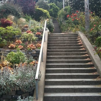 Vulcan Stairway - Bottom of the Vulcan Stairs. - Local Flavor Near Me - San Francisco, California Vulcan Stairway - Bottom of the Vulcan Stairs. - Local Flavor Near Me - San Francisco, California