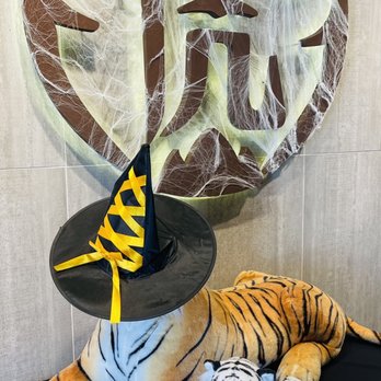 Tiger Sugar - Bubble Tea Near Me - Carrollton, Texas Tiger Sugar - Bubble Tea Near Me - Carrollton, Texas