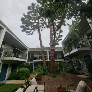 Unique Tree service - Tree removal - Tree Services Near Me - Anaheim, California Unique Tree service - Tree removal - Tree Services Near Me - Anaheim, California