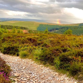 Moel Famau - Landmarks & Historical Buildings Near Me