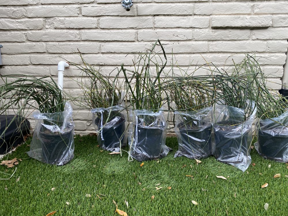 MICHAEL’S NURSERY Updated August 2024 10 Photos 546 LA113