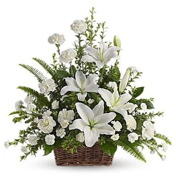 Secret Garden - Expectation - Flowers & Gifts Near Me - Toronto, Ontario