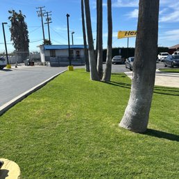 The worst place to rent a car