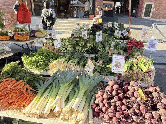 Farm Gate Market by null