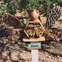 Photo of Fountain Hills Desert Botanic Garden