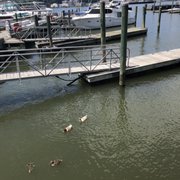 Photo of Barney Greengrass - New York, NY, United States. @ the Riverside Park