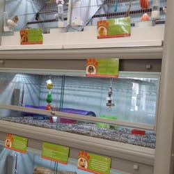 Jollyes The Pet Superstore