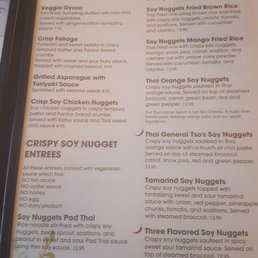 Vegetarian menu. Soy nuggets were tasty! Vegetarian menu. Soy nuggets were tasty!
