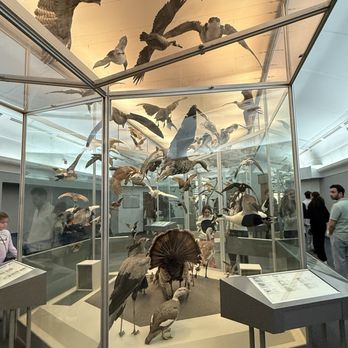 Royal Ontario Museum - Museums Near Me - Toronto, Ontario Royal Ontario Museum - Museums Near Me - Toronto, Ontario