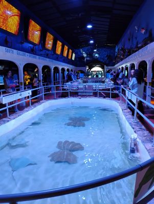 Key West Aquarium by null