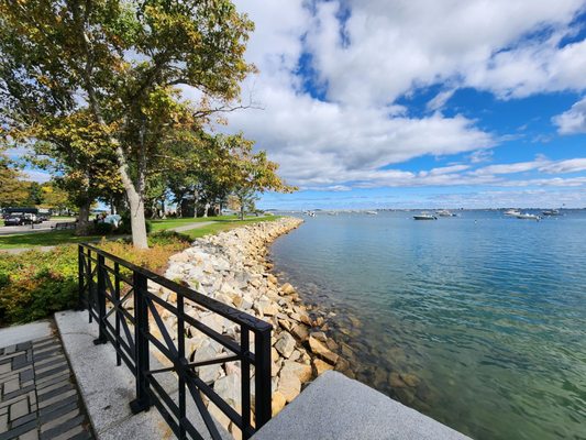 Plymouth Rock by null