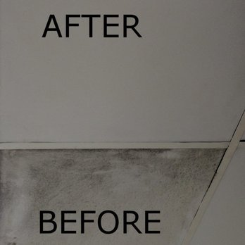 Envision Commercial Cleaning - If you can name it, we can clean it. - Office Cleaning Near Me - West Chester, Ohio Envision Commercial Cleaning - If you can name it, we can clean it. - Office Cleaning Near Me - West Chester, Ohio