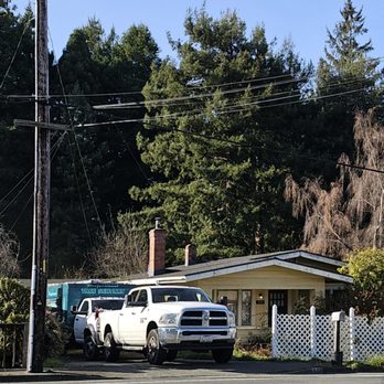 Professional Tree Services - A before shot, removal of a tree. - Tree Services Near Me - Blue Lake, California