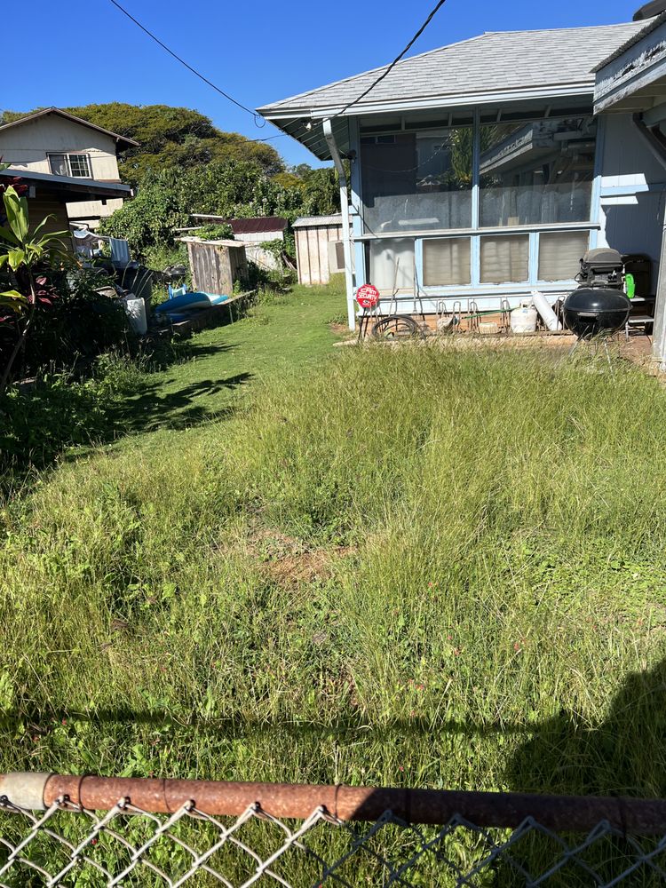 JBR Landscaping & Yard Services - tree service in Honolulu, HI