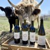 Walker Homestead Farm and Winery gift card