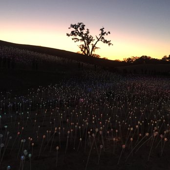Sensorio - Sensorio as it gets darker - Art Galleries Near Me - Paso Robles, California