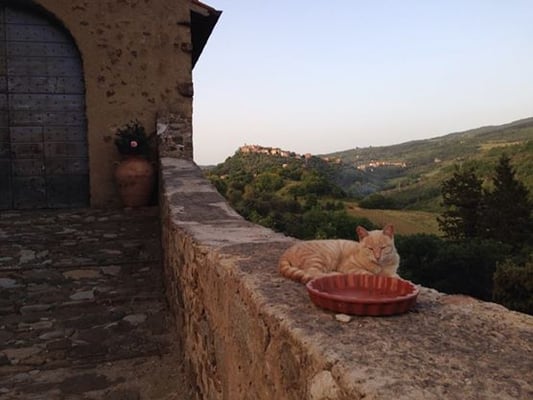 Castello Di Potentino by null
