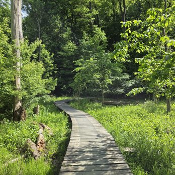 Old Woman Creek Reserve - Boardwalk - Parks Near Me - Huron, Ohio Old Woman Creek Reserve - Boardwalk - Parks Near Me - Huron, Ohio